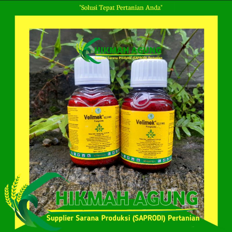 

VELIMEK 52.5 WG 50 GRAM - FUNGISIDA