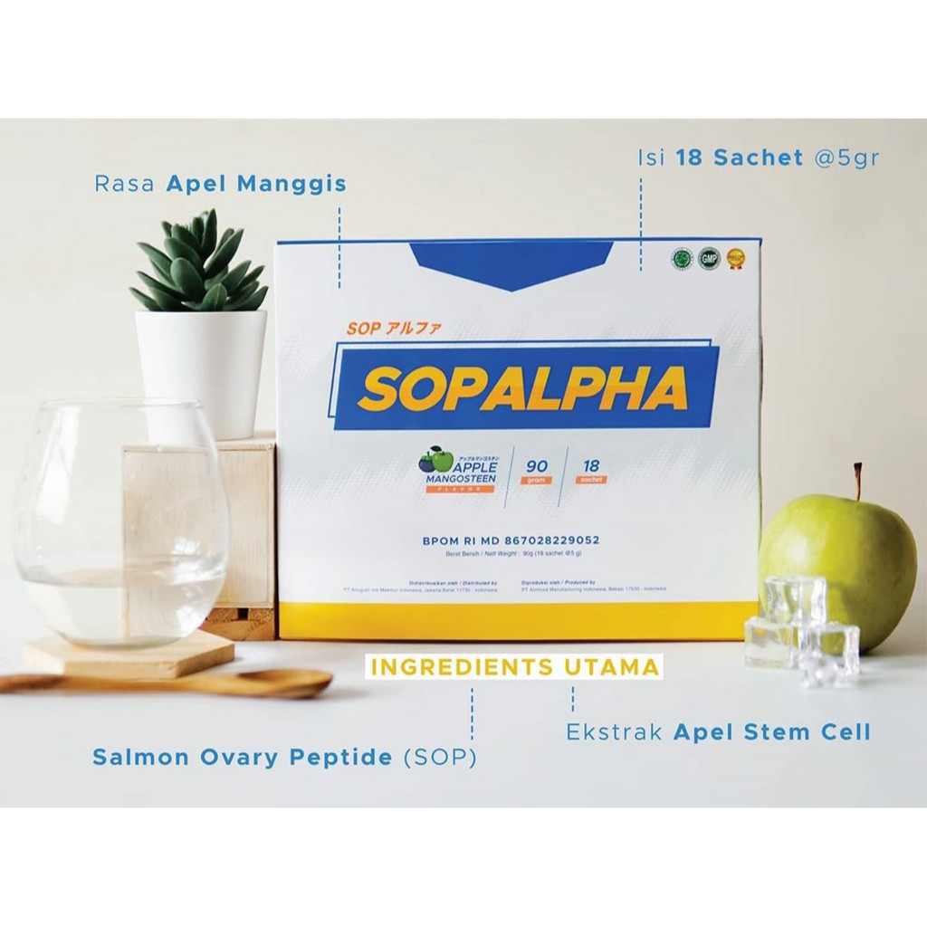 Paket 2 Box SOP alpha Bioboost Original | Agen Resmi | SOPalpha Official | Ready Stock
