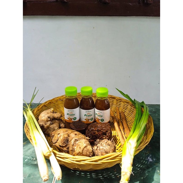 

PranicBoosterPlus 125 ml