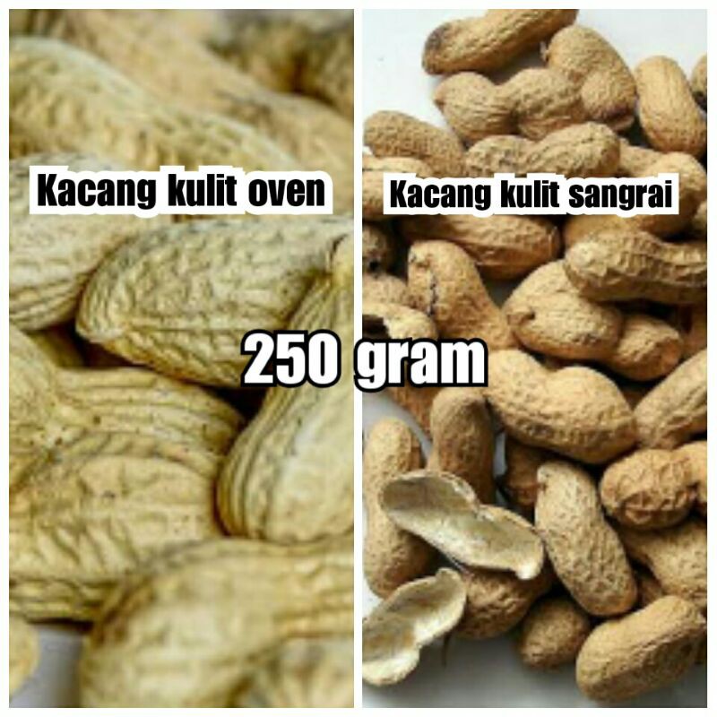 

Kacang kulit oven asin gurih / Kacang kulit sangrai 250 gram