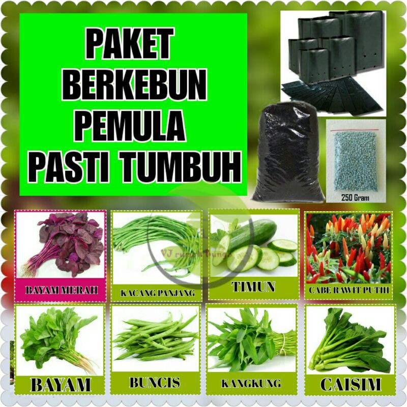 paket benih sayuran pemula pasti tumbuh