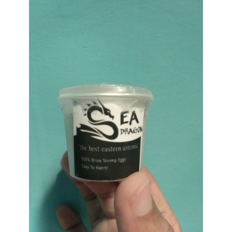 Artemia Sea Dragon (Artemia tetas)