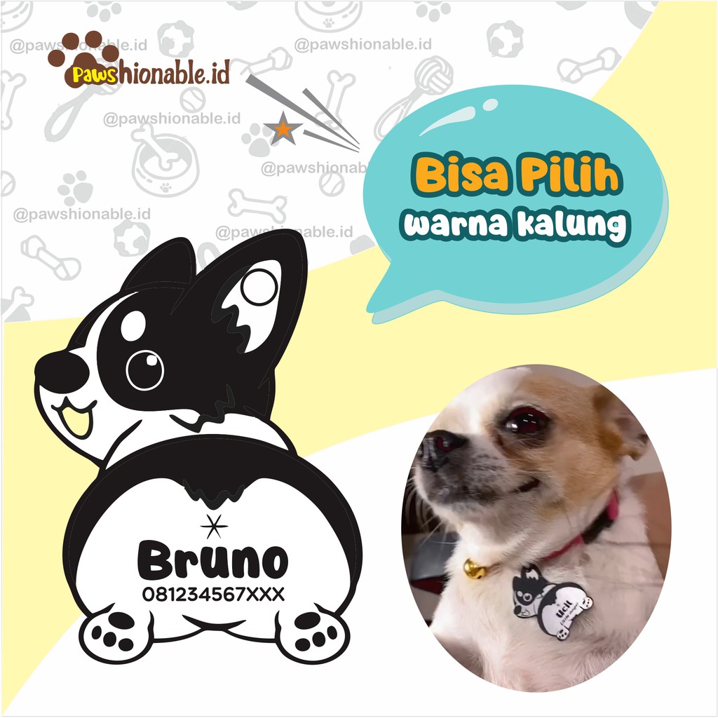 K01 - Kalung Custom Nama Anjing Chorgy Aksessoris Hewan PU Leather/Kulit Sintetis