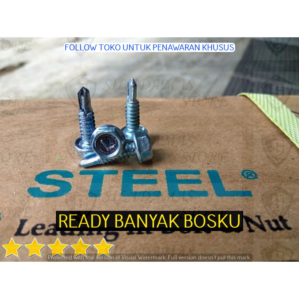 100 pcs #10x19 Sekrup Baja Ringan Ruping Moon Lion Kode L