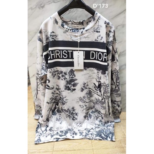 kaos dior