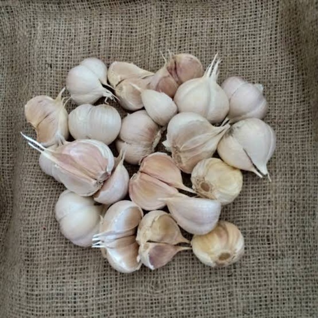 

Bawang putih kating 250 gram