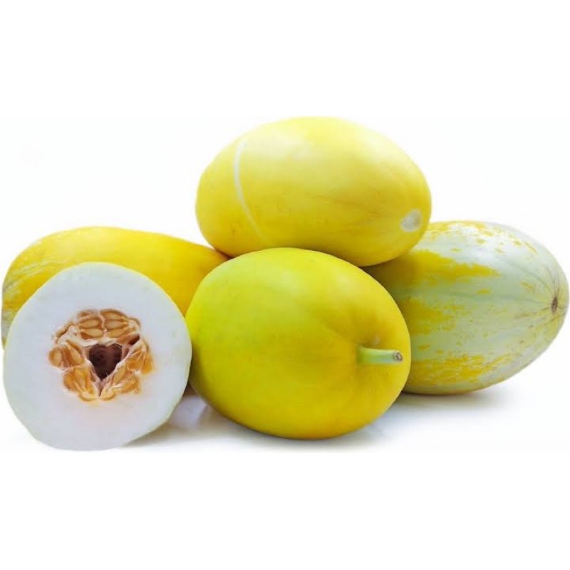 

timun suri 1kg bonteng suri buah timun suri
