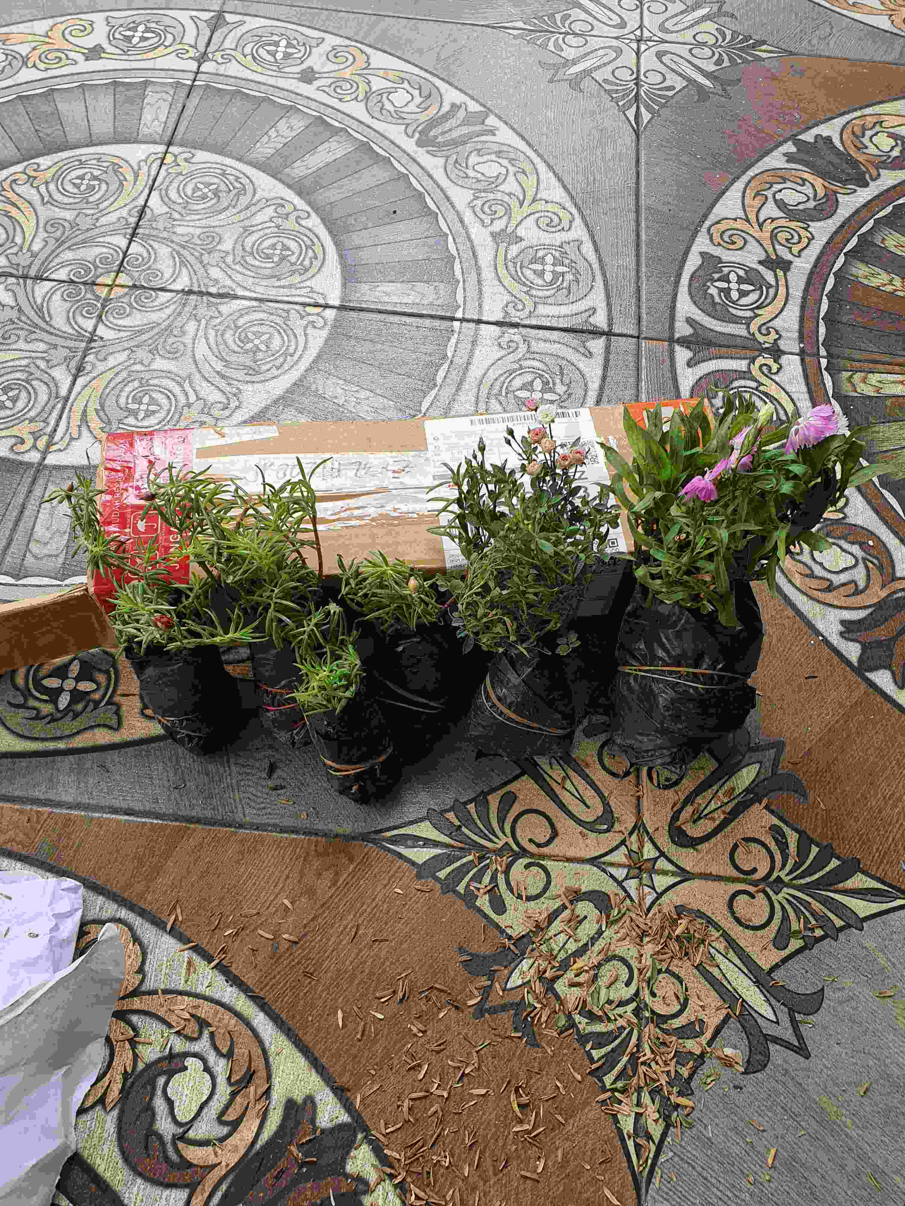  BUNGA  KROKOT  KROKOT  TUMPUK BUNGA  MURAH Shopee  Indonesia