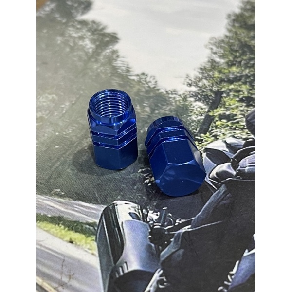 [SEPASANG / 2 PCS] TUTUP PENTIL VARIASI