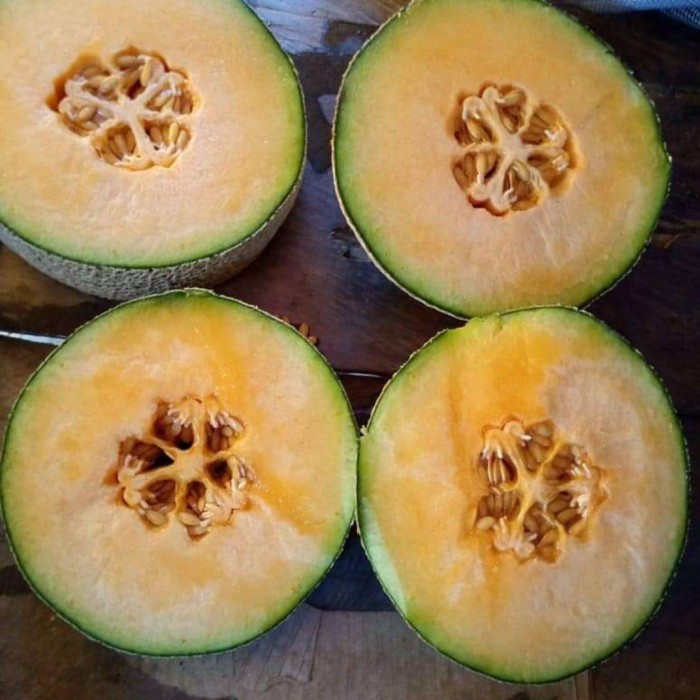 DISCOUNT BIBIT BIJI BUAH MELON MADU MERAH MANIS V