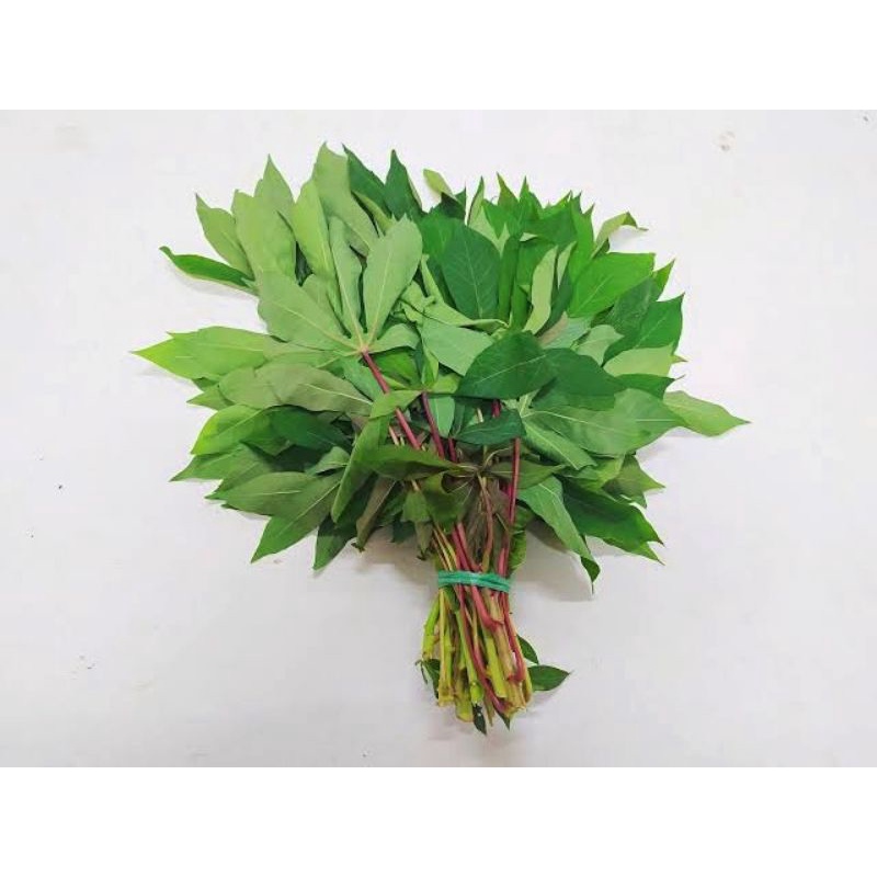 

Daun Singkong Segar Asli Petani Bogor