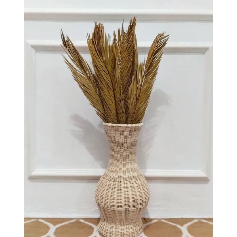 Sikas/mawar jambe kering