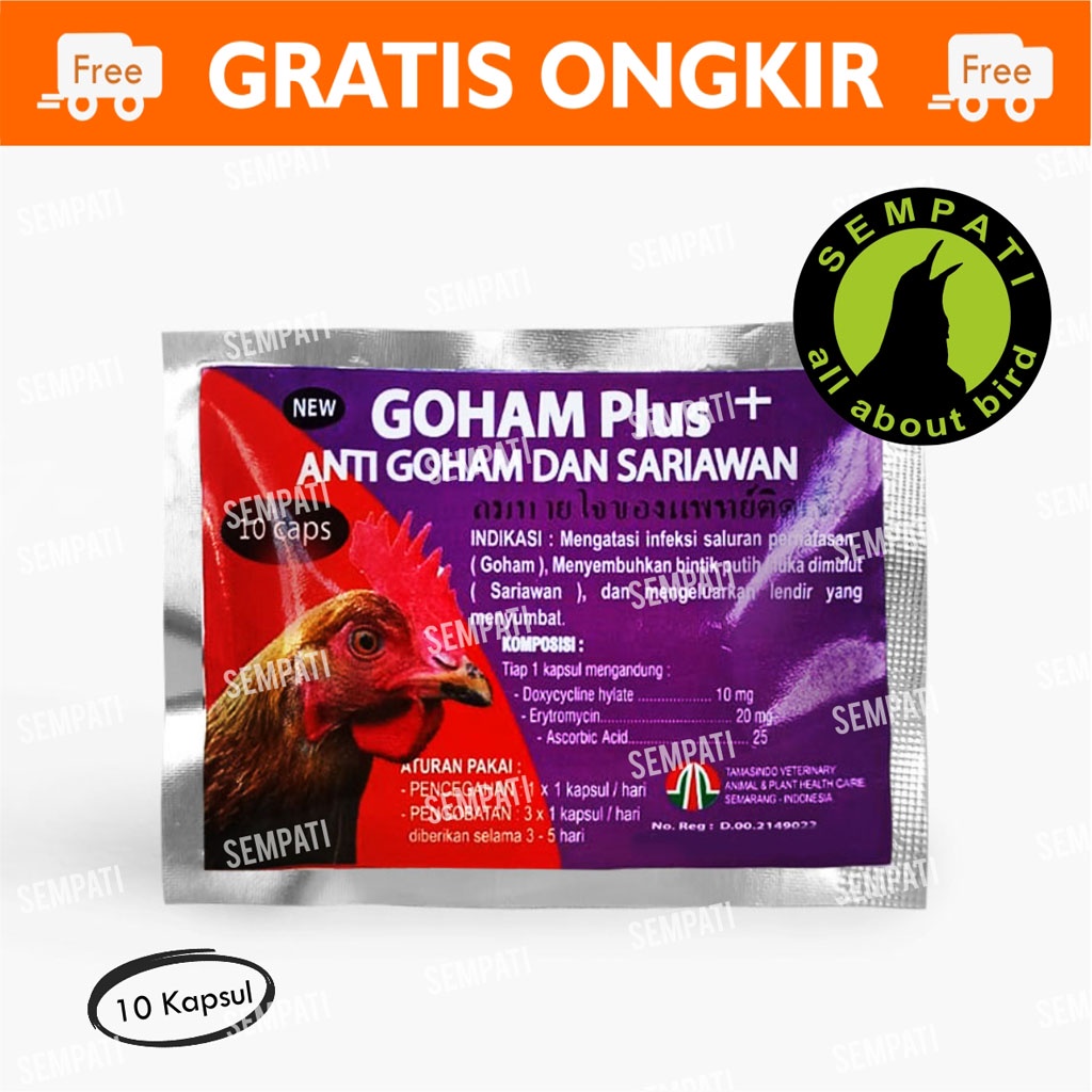 Goham Plus Isi 10 Kapsul Tamasindo Obat Anti Goham Dan Sariawan Ayam Obat Nafsu Makan Pembesar Tubuh Anti Manikan Kuningan