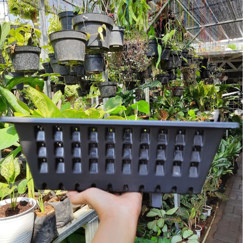 POT TEMPEL ARGO 04 HITAM / POT DINDING / POT VERTIKAL GARDEN