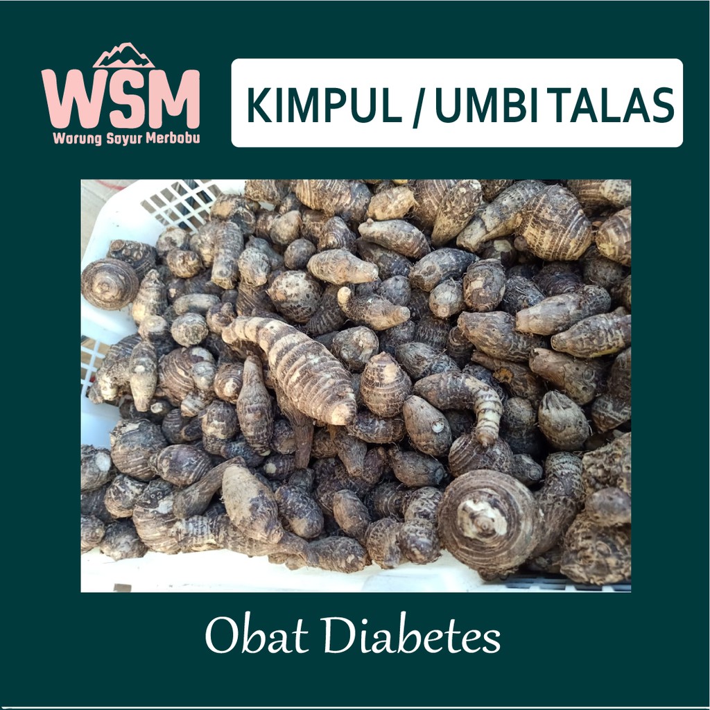 

KIMPUL | UMBI KIMPUL | UMBI TALAS | OBAT DIABETES
