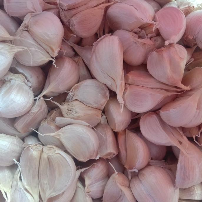 

Diskon bawang putih kating bersih Diskon