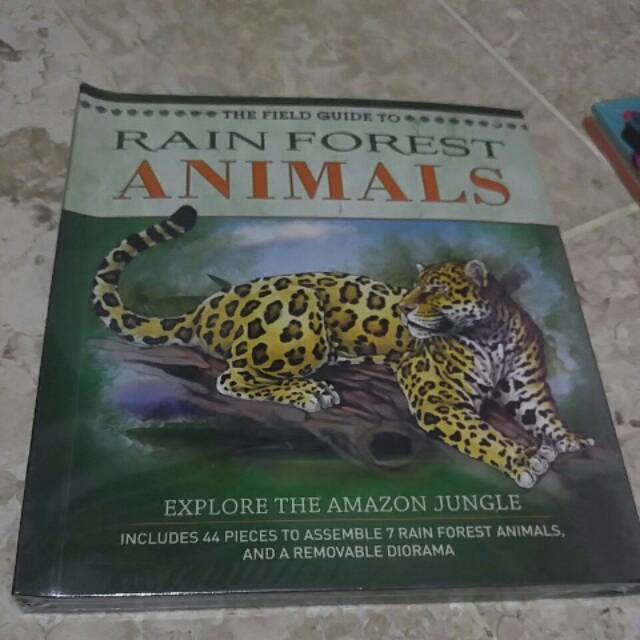 Rain Forest animals