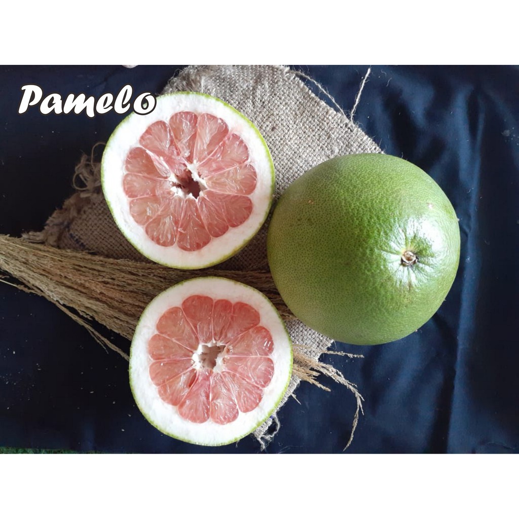 

jeruk pamelo,jeruk,manis segar,harga murah,grosir,berkualitas