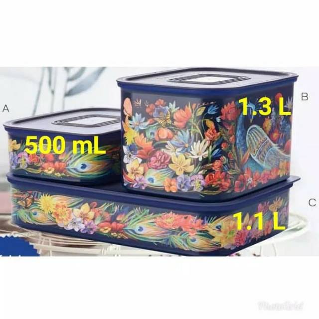 Baseline Fortune Bird / Toples Cantik Limited / Murah