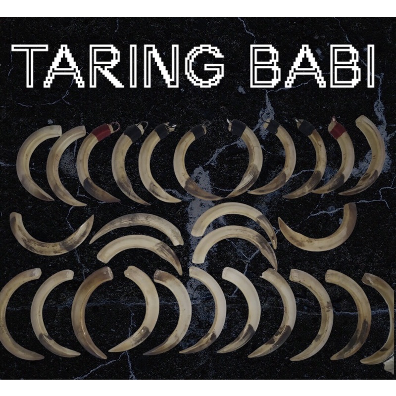 (COD) TARING BABI ORIGINAL (SIZE RANDOM)