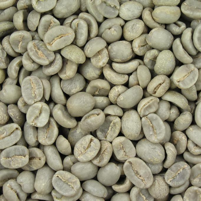 

ENAK Bali Kintamani Arabica Green Bean 1Kg (Biji Kopi Mentah) BANYAK RASA