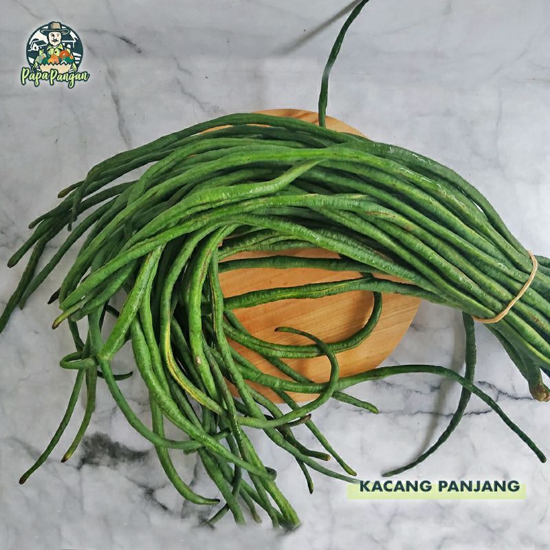 

KACANG PANJANG FRESH Papapangan - 200 gram