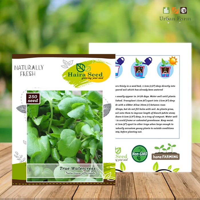 Benih-Bibit Selada Air-True Watercress (Haira Seed)