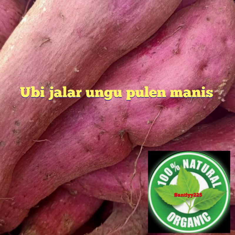 

Jual ubi jalar ungu kulit ungu daging ungu