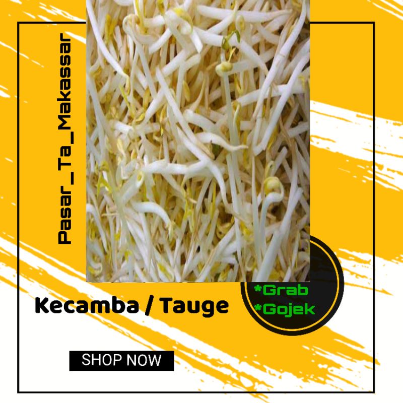 

Tauge / Kecamba / Toge / Pasar Ta Makassar / Pasar Sayur Makassar
