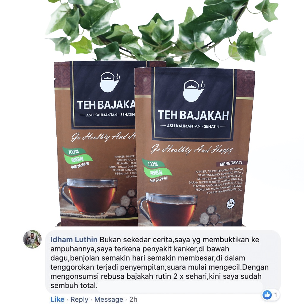 [Siap Minum] Teh Kayu Bajakah Asli Kalimantan Kualitas TERBAIK Herbal Kayu Akar Bajakah Sehatin