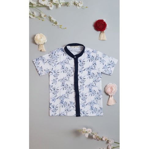 Anne Piccola - carter shirt