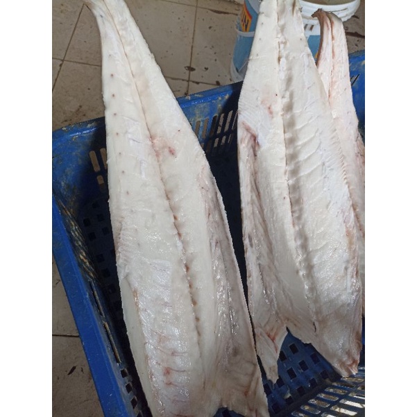 

gindara filet 1 kg