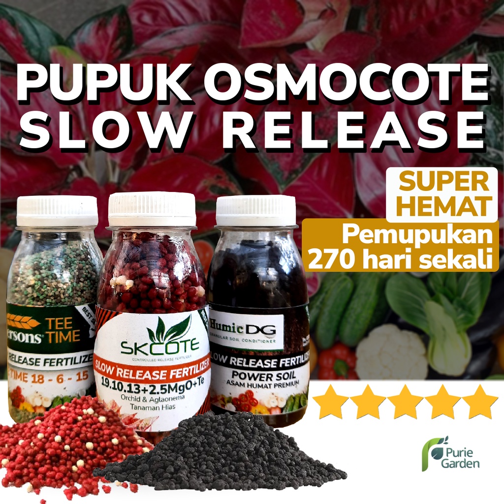 Pupuk Osmocote Dekastar Slow Release Aglonema Anggrek Sayuran Buah Botol PG KDR