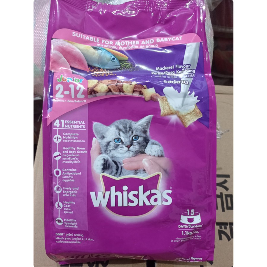 Whiskas dry junior 1,1 kg Freshpack makanan kucing 1,1kg