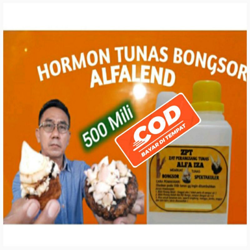 ZPT TUNAS BONGSOR hormon terkuat hasil formulasi pilihan auksin sitokinin giberelin dan 9 lainya sep