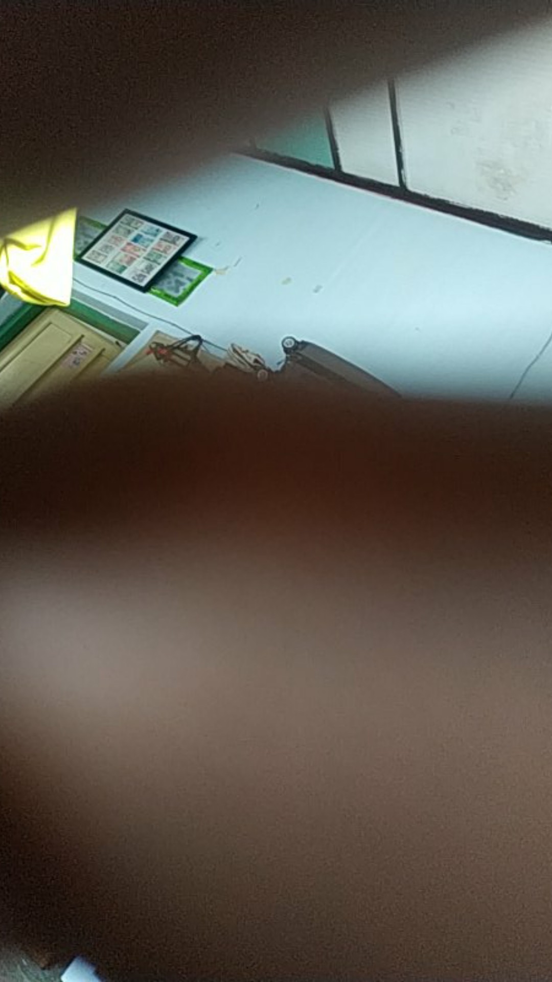 L Bintang Mollar T40 Dan T50