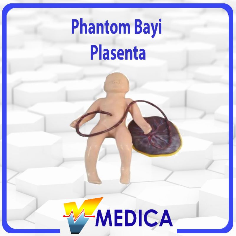 Phantom Bayi Plasenta / Alat Peraga Manekin
