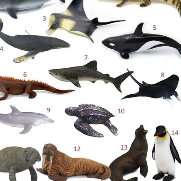 6800 Gambar Binatang Ikan Pari Gratis Terbaik