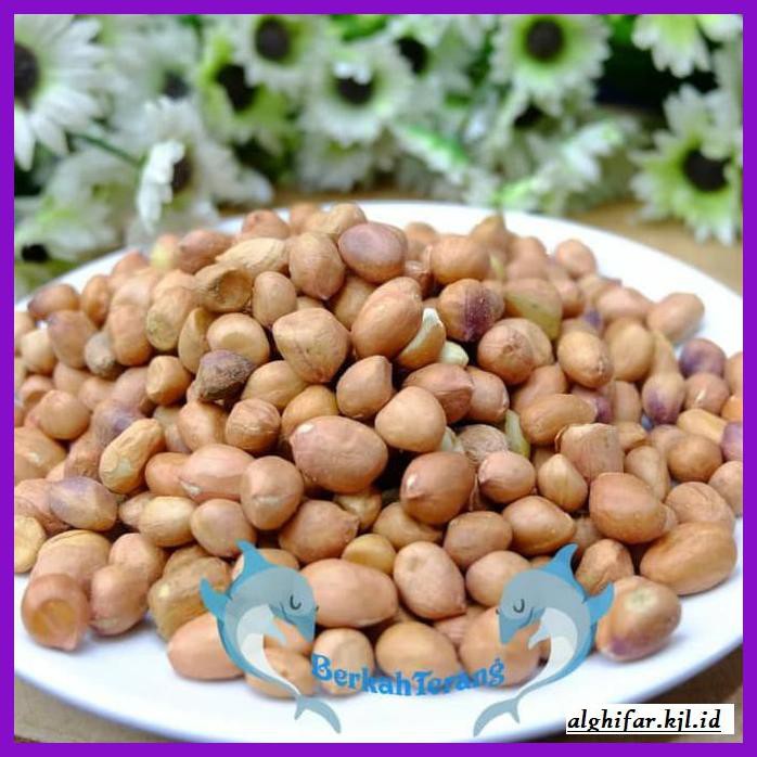 

Makanan-Kering- Kacang Tanah Tuban Super 1Kg - Kulit -Aneka.