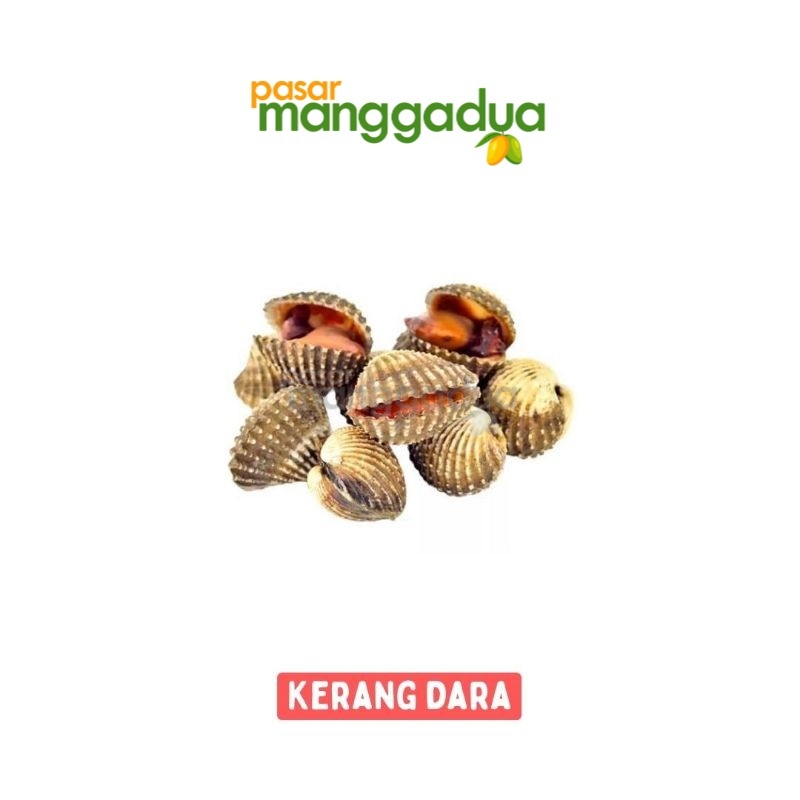 

FRESH !!! Kerang Dara Per Kg / Ikan Segar