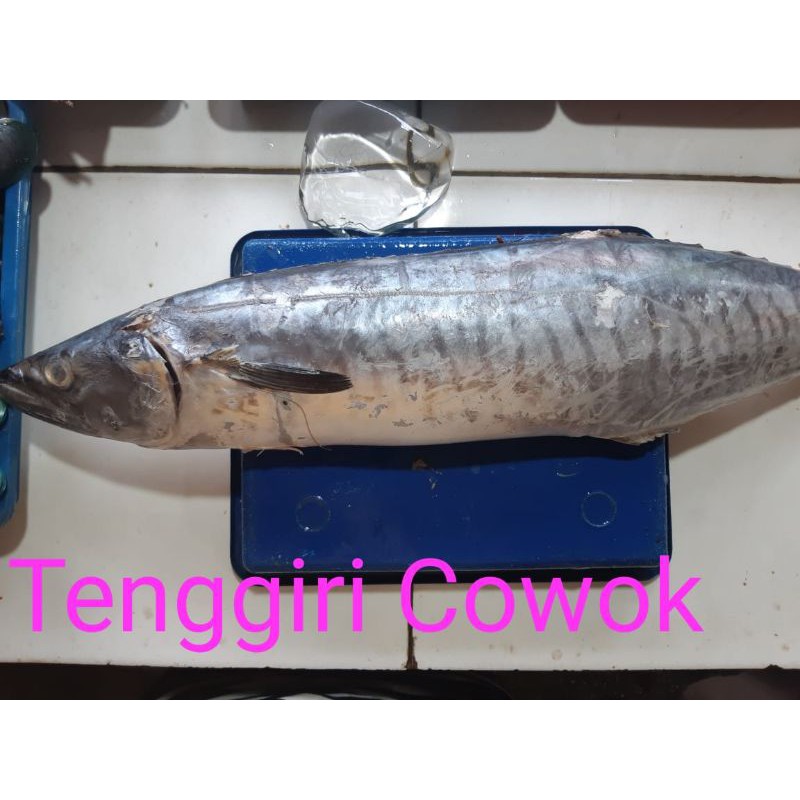 

TENGIRI SUPER:/500grm