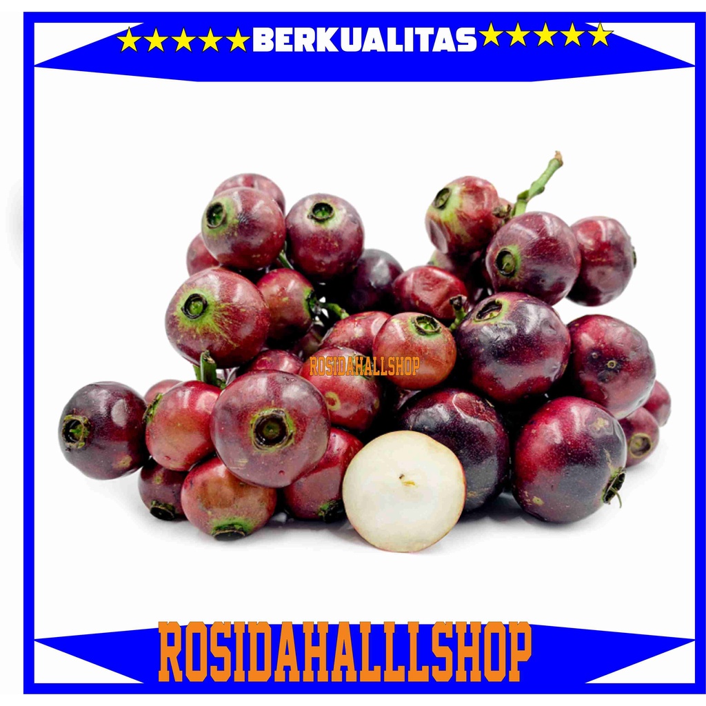 buah gowok / buah kupa segar 1 kg