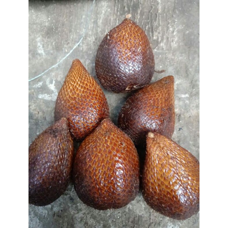 

salakpondoh
