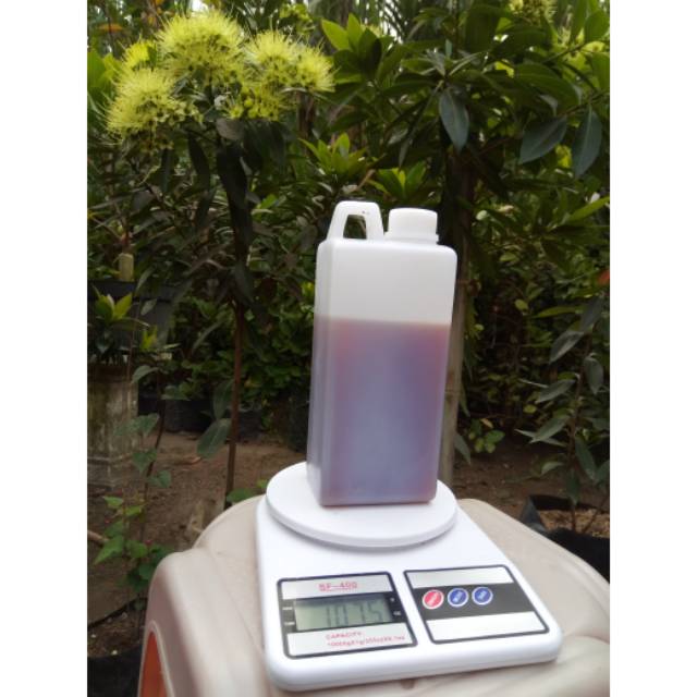 

1kg Madu klanceng, Lanceng, kelulut, kele-kele