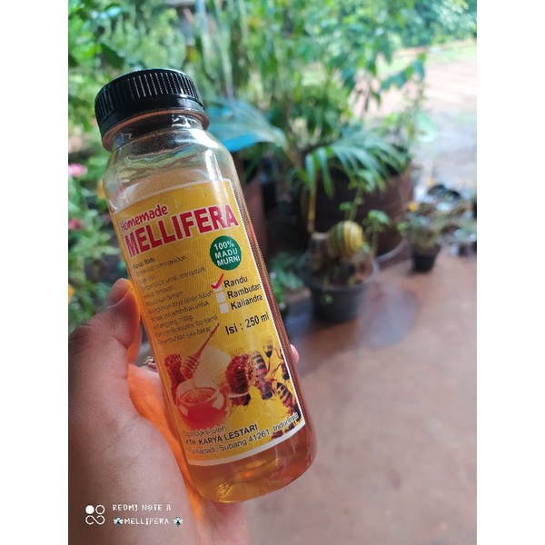 

Madu Randu
