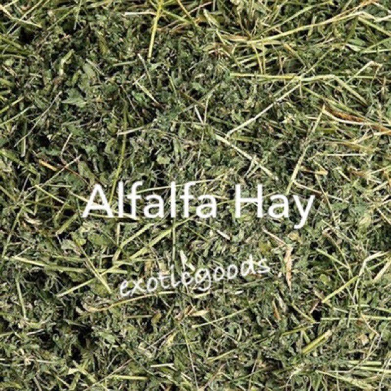 RABBIT HOLE HAY 500g RHH TIMOTY HAY RHH TIMOTY 2nd RHH ALFA ALFA RHH ORCHAD