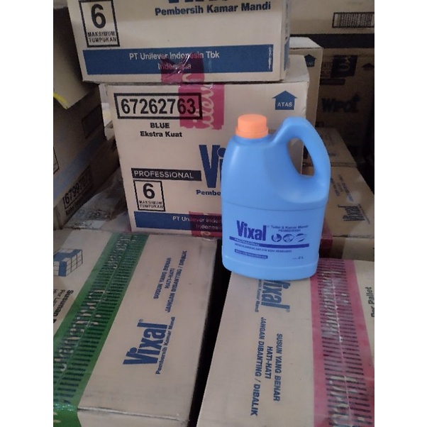 Vixal Pembersih Lantai Toilet 2L
