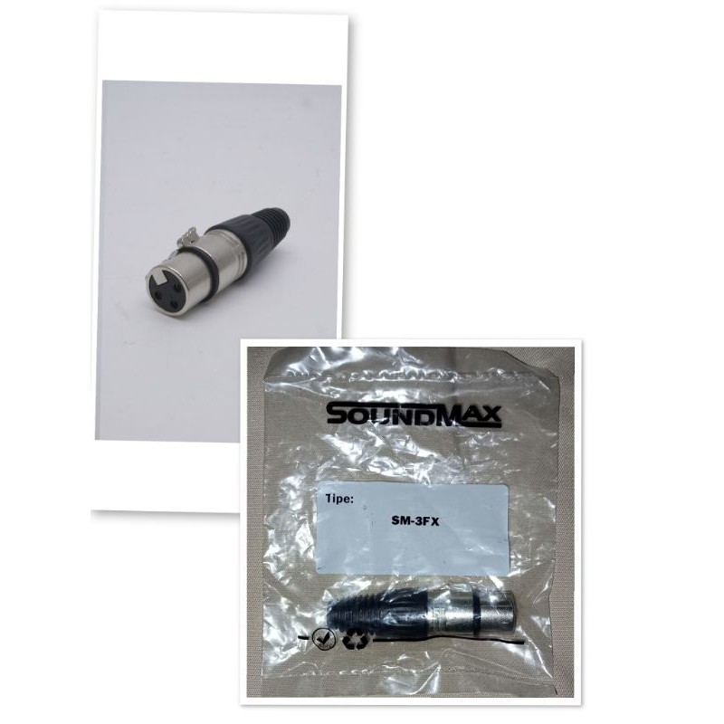 Jack Mic Canon XLR female