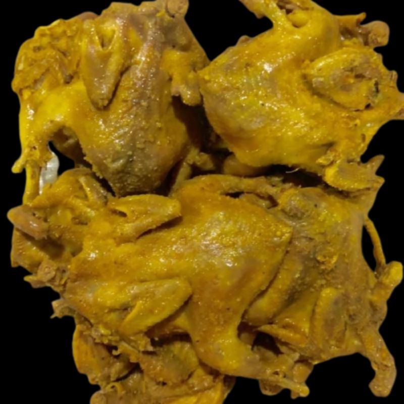 

puyuh ingkep bimbu kuning perekor