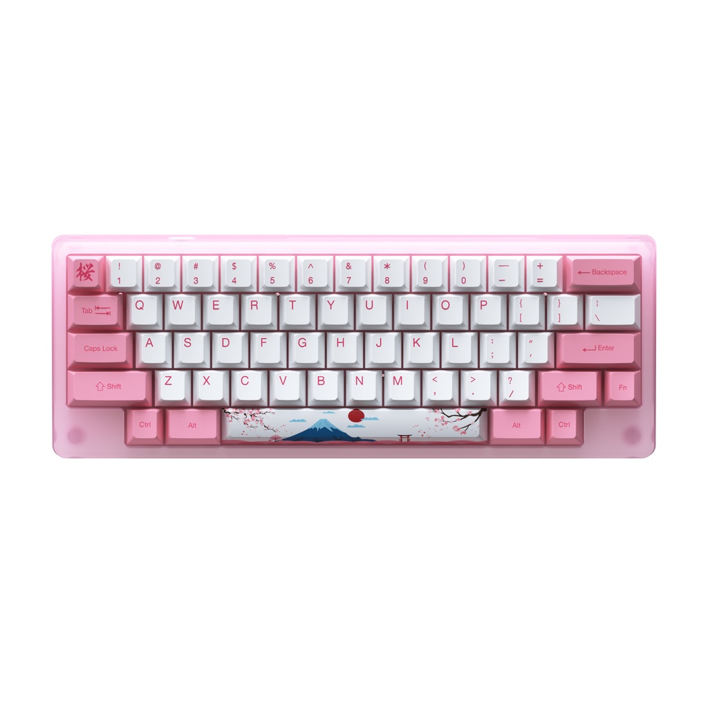 Akko Acrylic ACR59 60% RGB Hotswapp Mechanical Gaming Keyboard